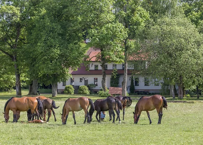 Farm stay Dwor Szwalk